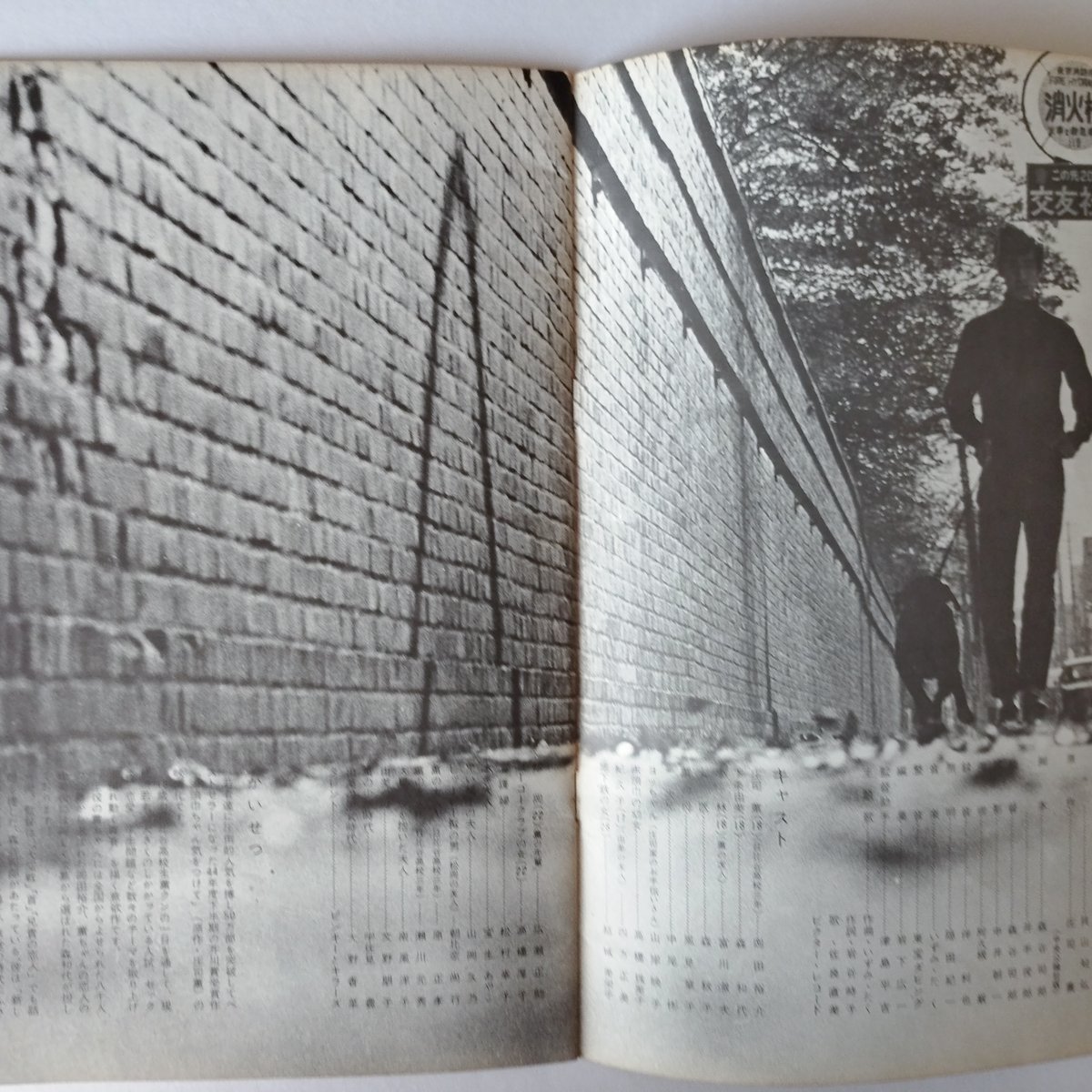 赤頭巾ちゃん気をつけて』館名入りパンフレット希少！ | 古書ベリッシマ