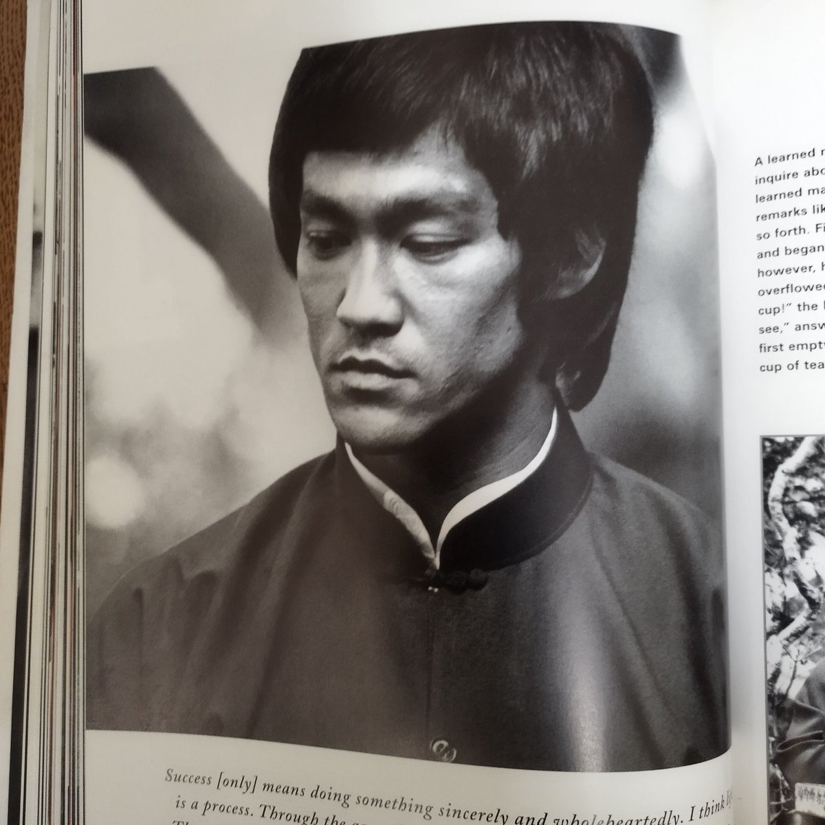 BRUCE LEE The Celebrated Life of the Golden Dr