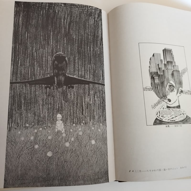 貴重 ジュン 豪華本 石ノ森章太郎 新作グッ 貴重 ジュン 豪華本 石ノ森章太郎 青年漫画 - 青年漫画