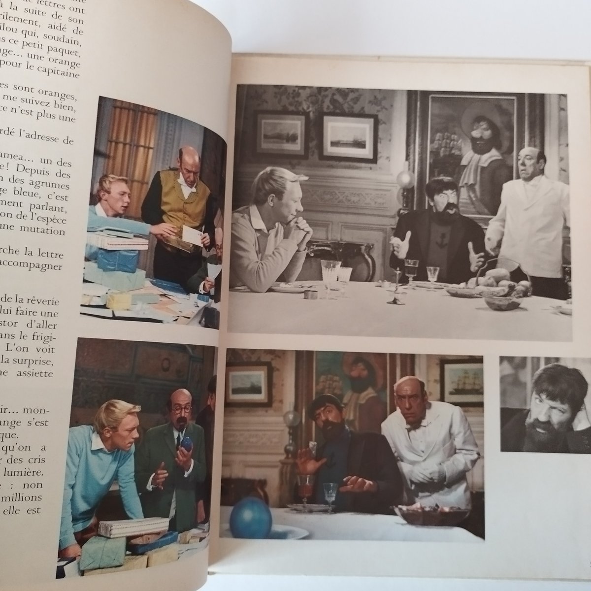 tin tin et les oranges bleues』タンタンと青いオレンジ・実写絵本