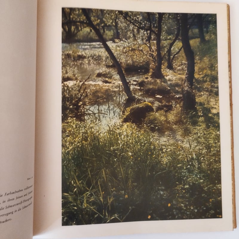 洋書 Dr. Paul Wolfe Arbeit! 洋書 Dr. Paul Wolfe Arbeit! 洋書 Dr. Paul Wolfe Arbeit! 洋書 Dr