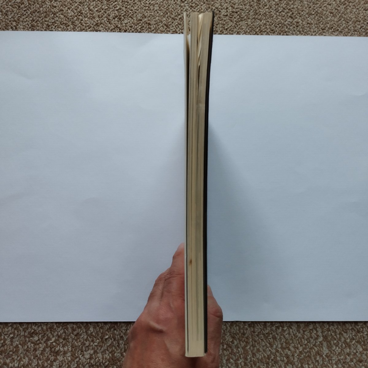 加藤和彦ニューヨーク・カリフォルニアヨーロッパレストラン狂時代 3冊セット fit=scale-down,w=1200