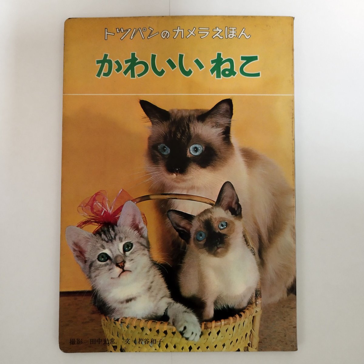 だいすきなどうぶつ／新しいトッパンのカメラえほん フレーベル館 撮影