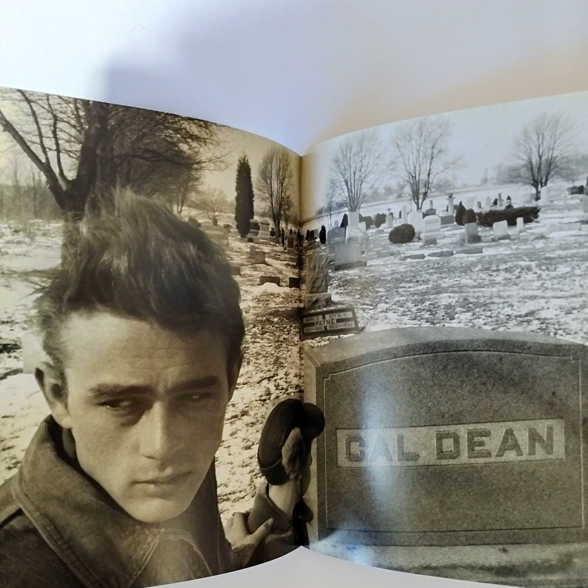 James Dean Photographs】 J・ディーンの軌跡を辿る旅路それはまるで