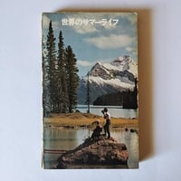 【世界のサマーライフ】 SOGO　昭和サマーライフ、憧れの暮らし見本帖、こんな本があったのかという驚きの一冊！