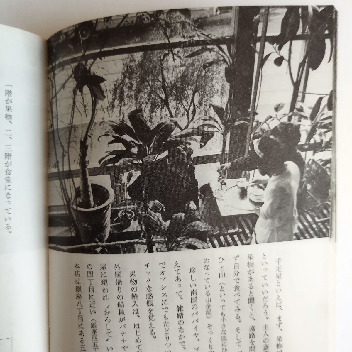東京味覚地図　古書 東京味覚地図(創元社編集部 編) / 古本、中古本、古書籍の通販は