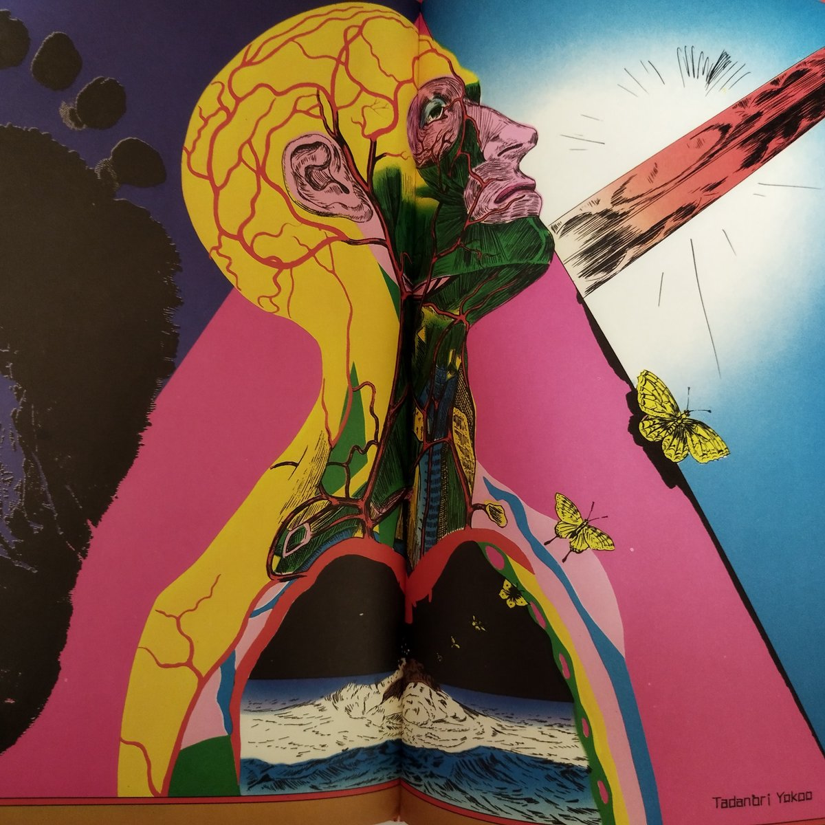 絵草紙 うろつき夜太】 柴田錬三郎・横尾忠則 時代を超えた斬新性