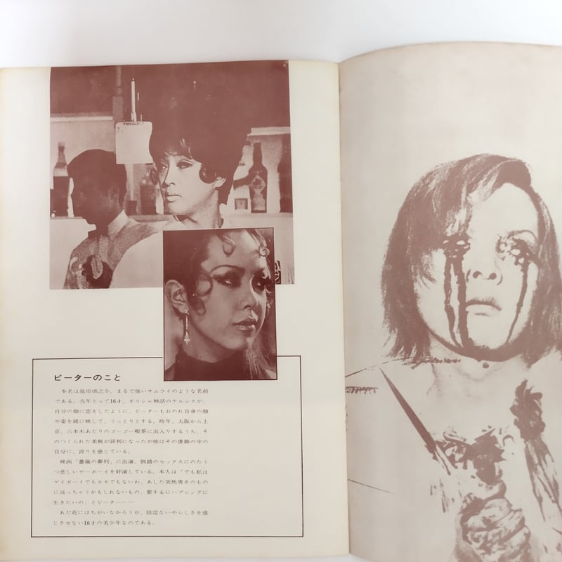 薔薇の葬列』公開時映画パンフレット 当時の持ち主による館名・値段等