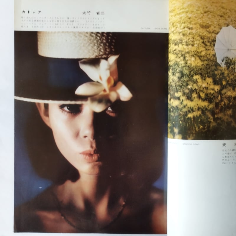 カメラ毎日』1961年6月号 今井壽恵「北風とモデル」掲載希少！ | 古書