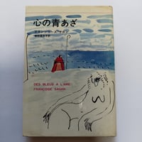 マンハッタン少年日記』 ジム・キャロル 梅沢葉子訳 | 古書ベリッシマ