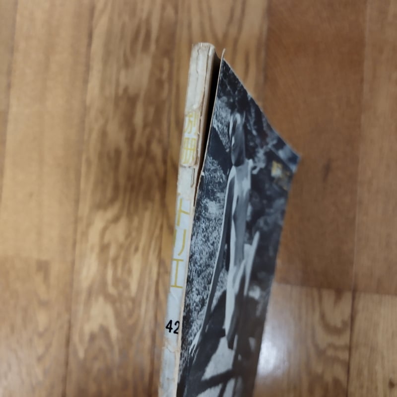 別冊アトリエ『風景の中のヌード』東郷青児 昭和アート系ヌード新たな