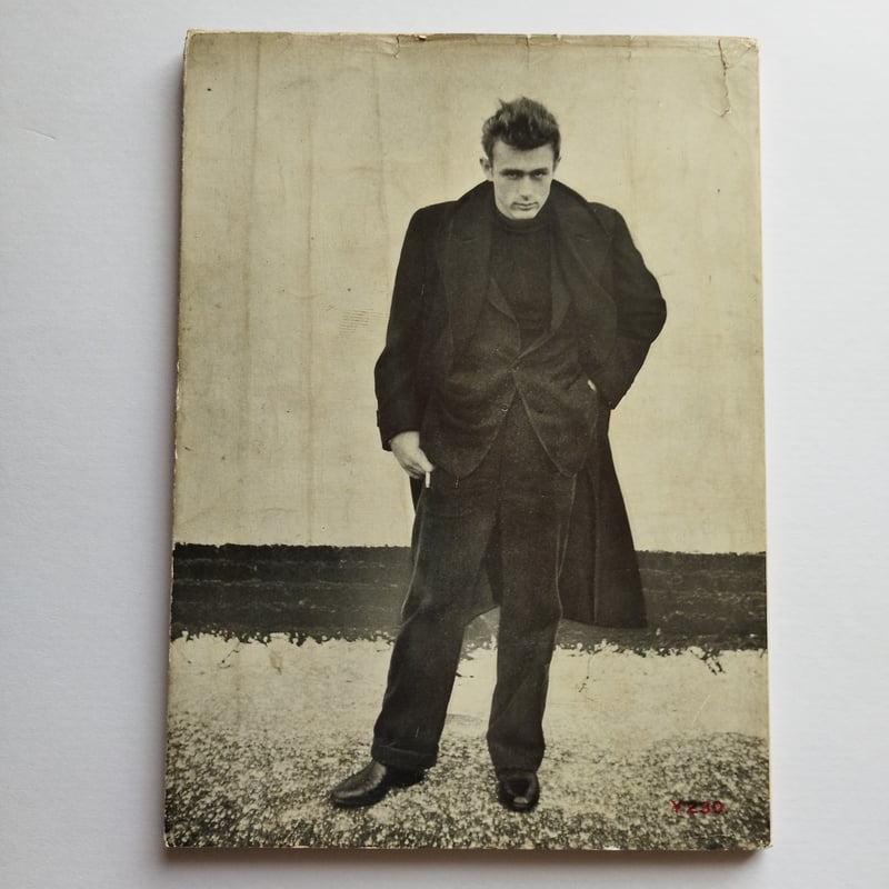 JAMES DEAN by DENNIS STOCK』 素顔のジェームス・ディーン | 古書 JAMES DEAN by DENNIS STOCK』 素顔のジェームス・ディーン | 古書