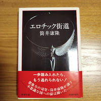 東京モンタナ急行』リチャード・ブローティガン 初版美品帯あり | 古書