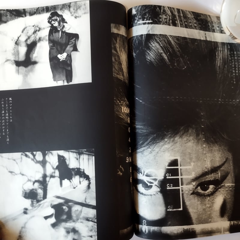 カメラ毎日』1961年6月号 今井壽恵「北風とモデル」掲載希少！ | 古書