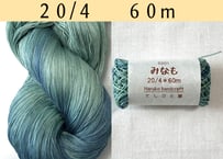みなも【s301】 　20/4   60m
