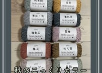 秋の渋めカラー完売しました！ありがとうございました