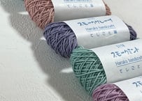 スモークカラーset　5色【20/4】