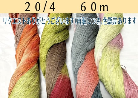 おみかん【s310 】 　20/4   60m