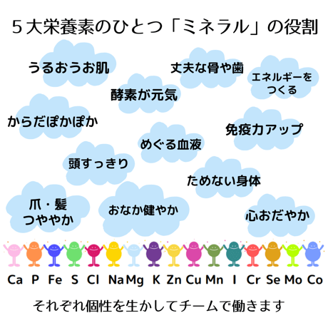 MINERAL LIQUID RICH  SILICA（ミネラルリキッドリッチシリカ）