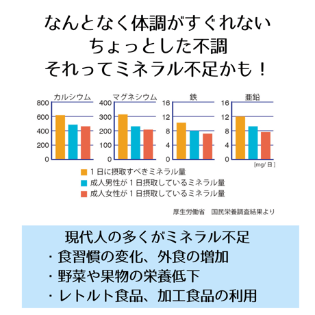 MINERAL LIQUID RICH  SILICA（ミネラルリキッドリッチシリカ）