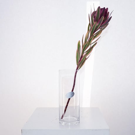 Cylinder flower vase(W12×H30)