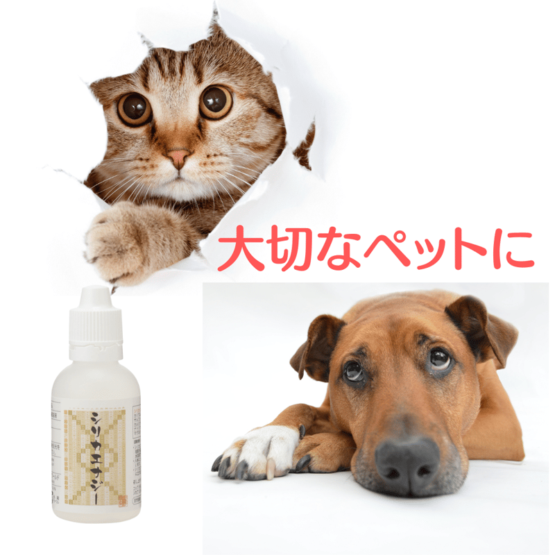 シリカエナジー(シリカナノコロイド水) 50ml | MAPシリカストア シリカエナジー(シリカナノコロイド水) 50ml | MAPシリカストア