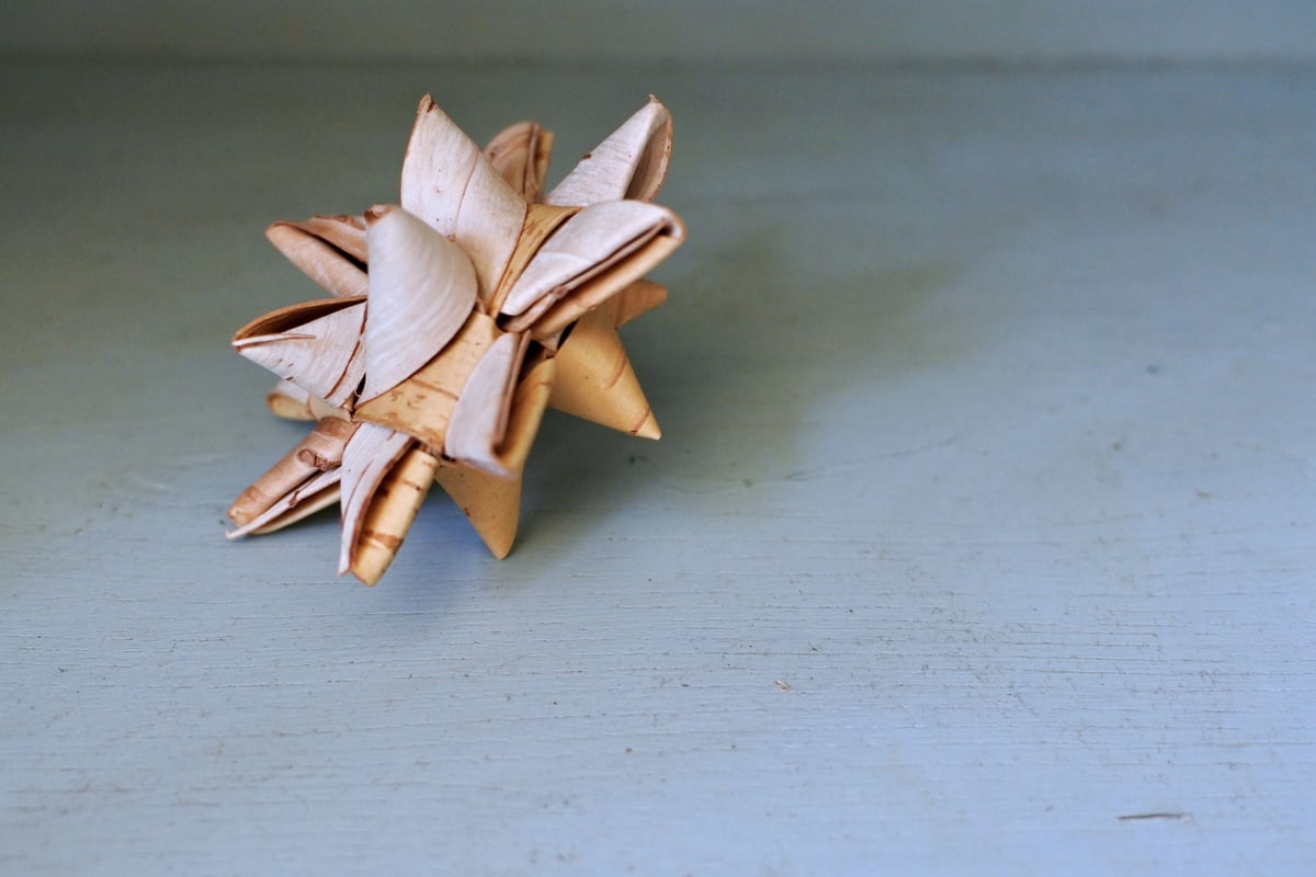 星形の白樺オーナメントアドベントスター