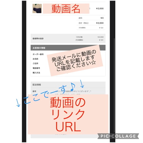 自律神経を学ぼう！基礎①