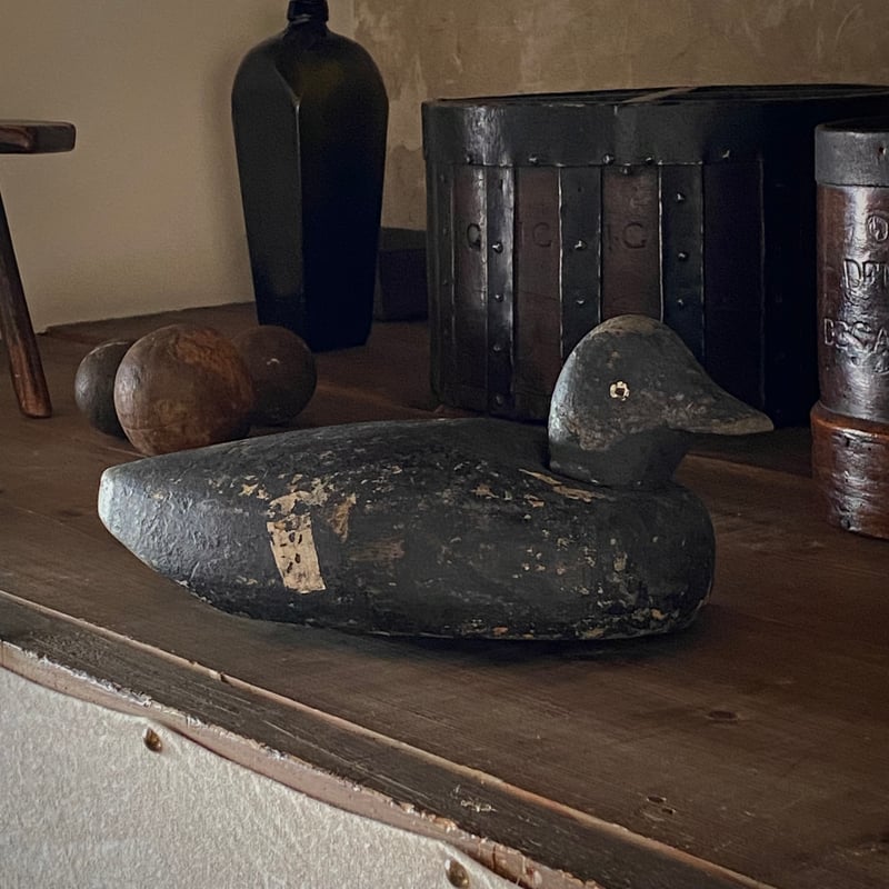 デコイ | dialogue