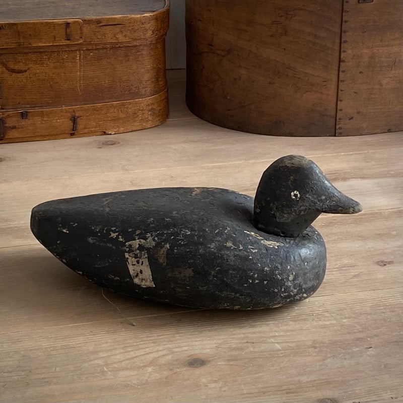 デコイ | dialogue