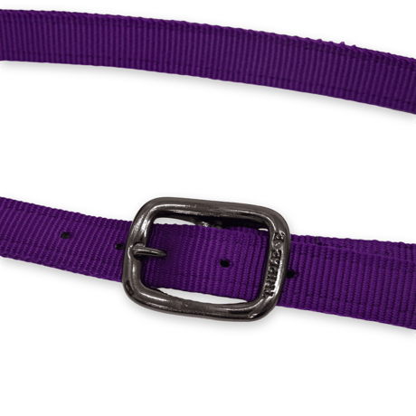 《TripleE》Nylon Webbing Belt