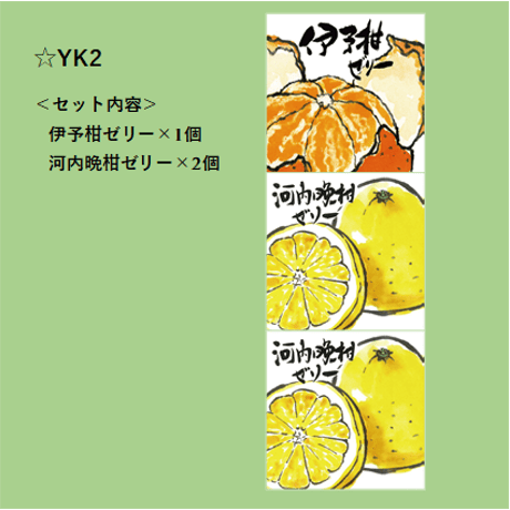 選べる！ゼリー3個セット（河内晩柑）