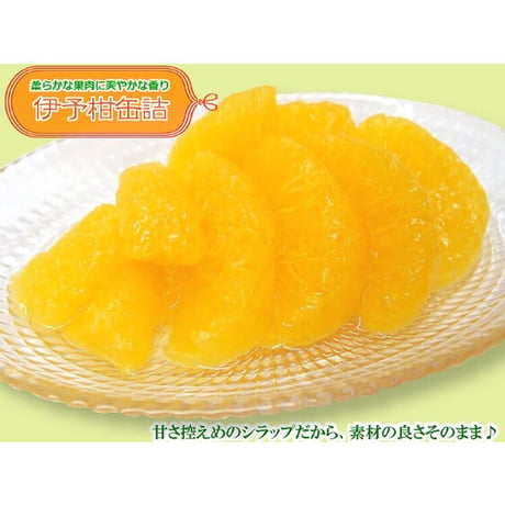 【愛媛県産】伊予柑缶詰