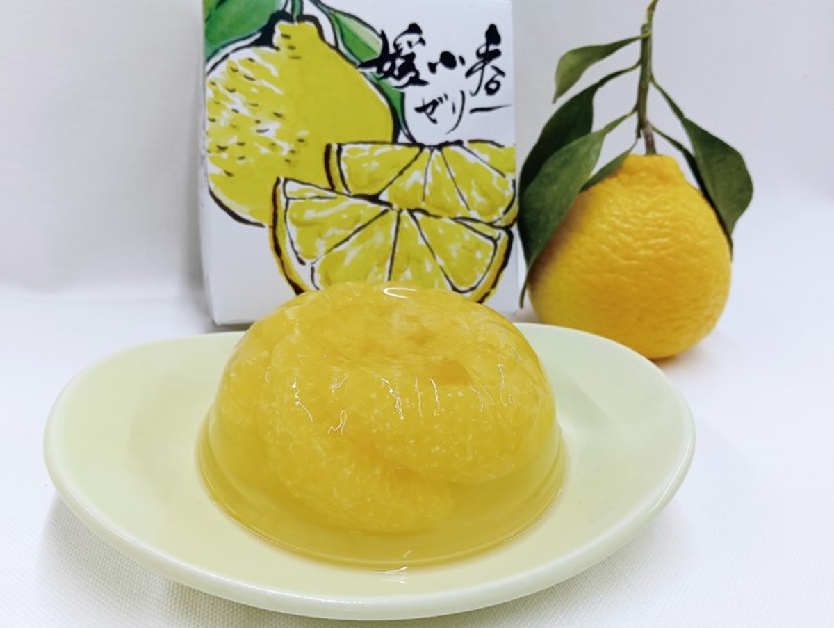 媛小春ゼリー」発売のお知らせ | 【BEMAC公式通販】えひめ自然の恵みギフト