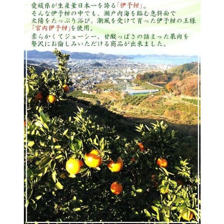 【愛媛県産】伊予柑缶詰