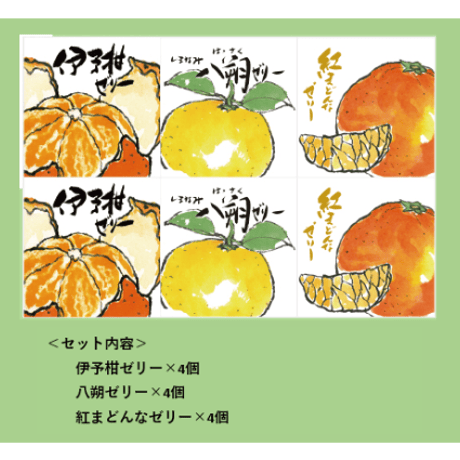 柑橘物語　ゼリー３種１２個セット　BHY