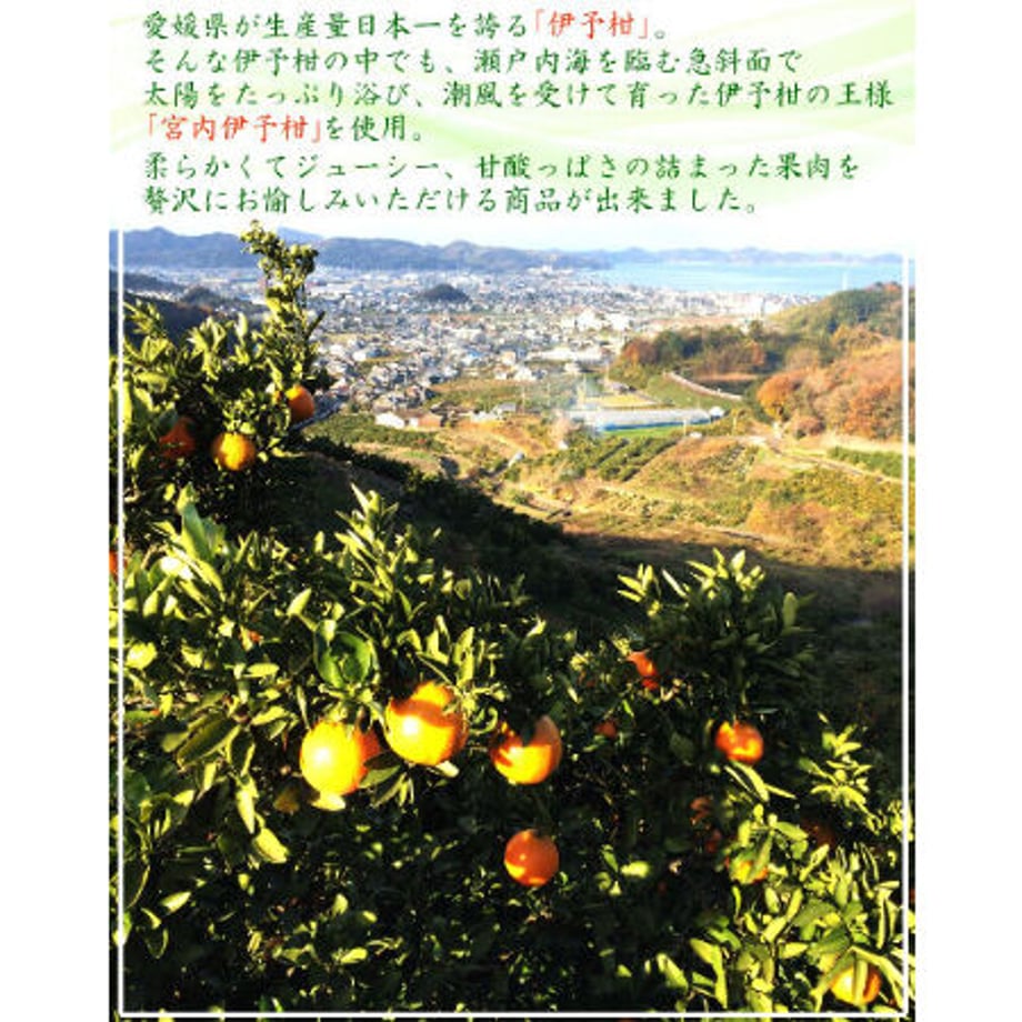 634668ce5976203f0a46d0d3