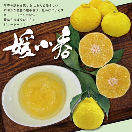 【愛媛県産】媛小春ゼリー