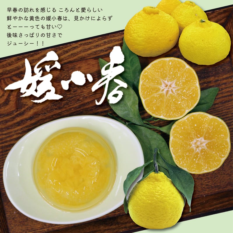愛媛県産】媛小春ゼリー | 【BEMAC公式通販】えひめ自然の恵みギフト