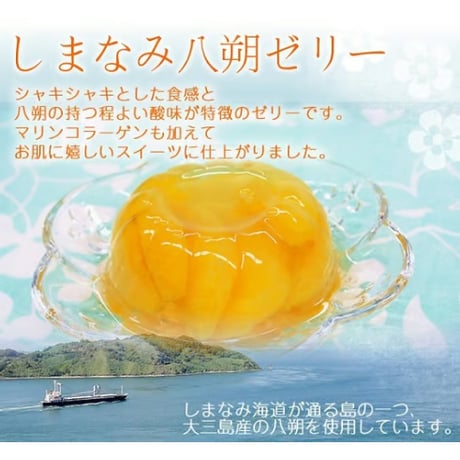 柑橘物語　八朔ゼリー　６個セット