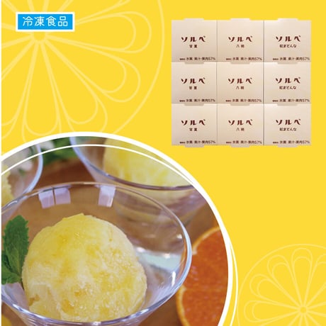 【冷凍品】 ソルベ９個  ギフト箱入