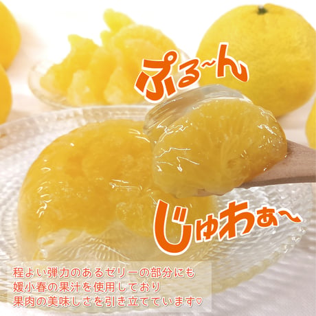 【愛媛県産】媛小春ゼリー