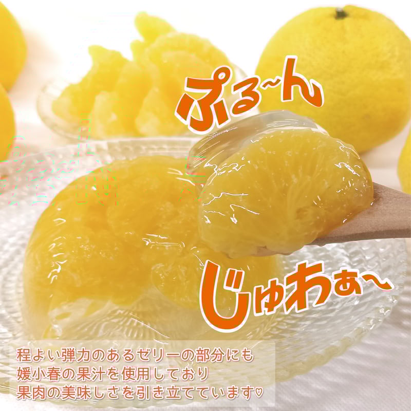 媛小春ゼリー | 【BEMAC公式通販】えひめ自然の恵みギフト