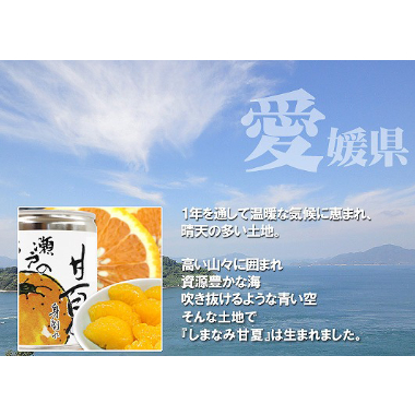 ホリナツのカンムリ　ホリパカ　甘夏　セット 柑橘物語 甘夏缶詰6缶セット | 【BEMAC公式通販】えひめ自然の恵みギフト