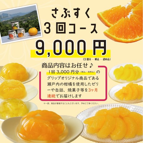 さぶすく　3回コース（商品を3ヶ月連続でお届け）　☺ECサイトで使用できる500円分のクーポンプレゼント☺