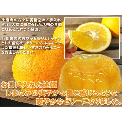 八朔合馬 和歌山県産 八朔｜K&K にっぽんの果実｜商品｜国分グループ本社株式会社