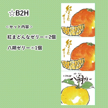 選べる！ゼリー3個セット（八朔）