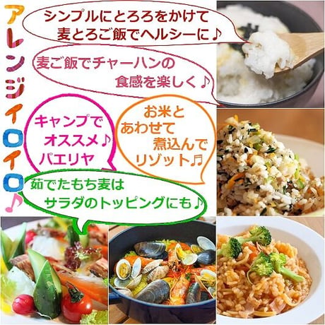 媛もち麦　１ｋｇ