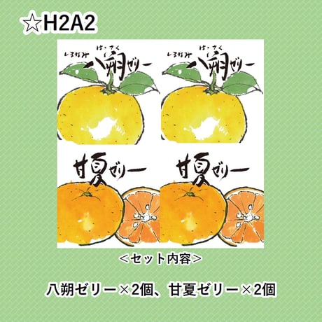 選べる！ゼリー4個セット（甘夏）