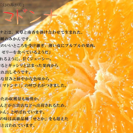 まどんなのよろこび　ＰＨＴ５Ｏ５